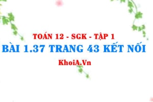 Bài 1.37 trang 43 Toán 12 tập 1 Kết nối tri thức